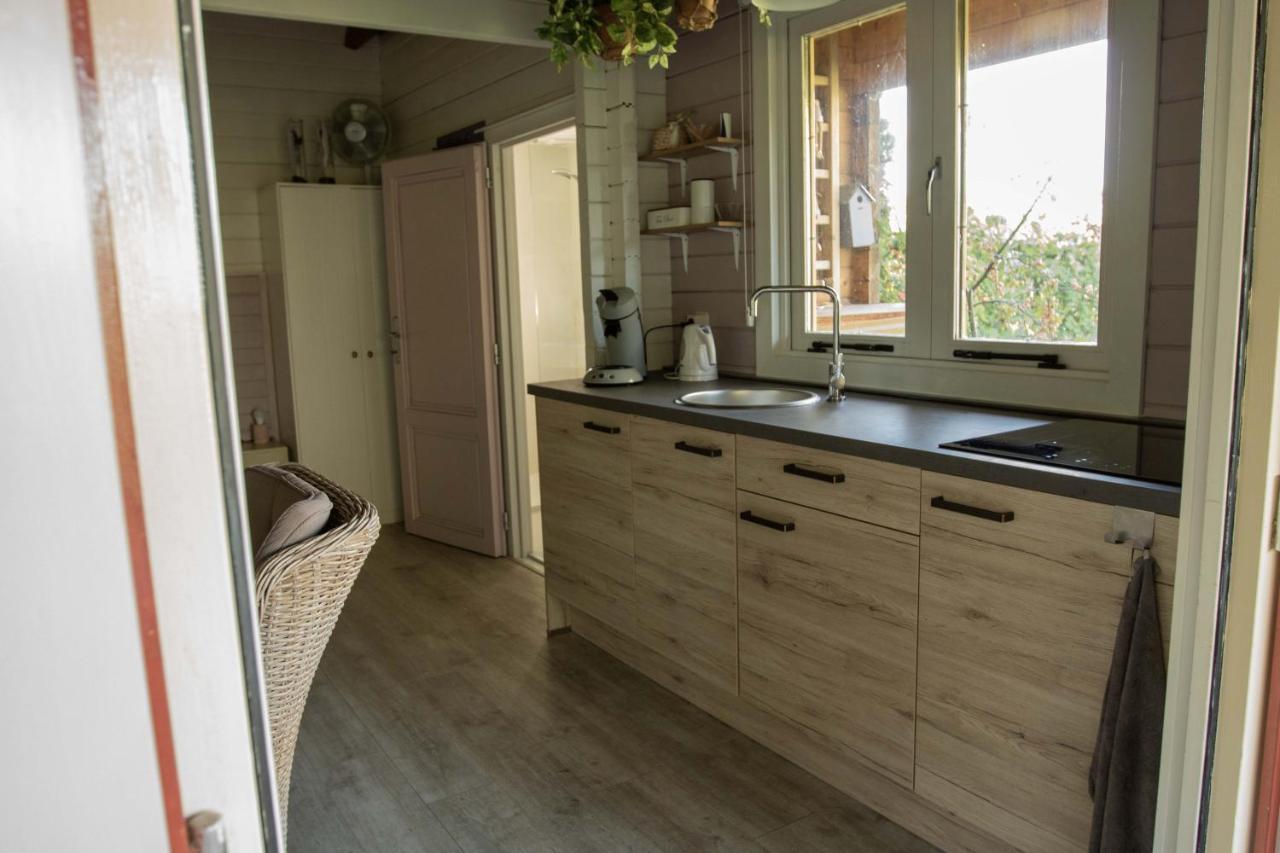 Chalet Ben In Broek Benningbroek 外观 照片