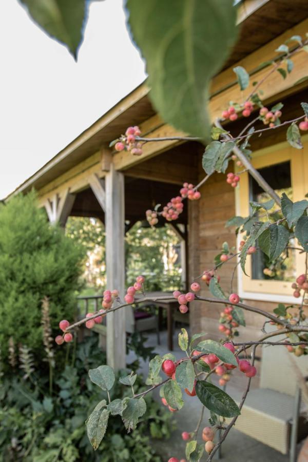 Chalet Ben In Broek Benningbroek 外观 照片