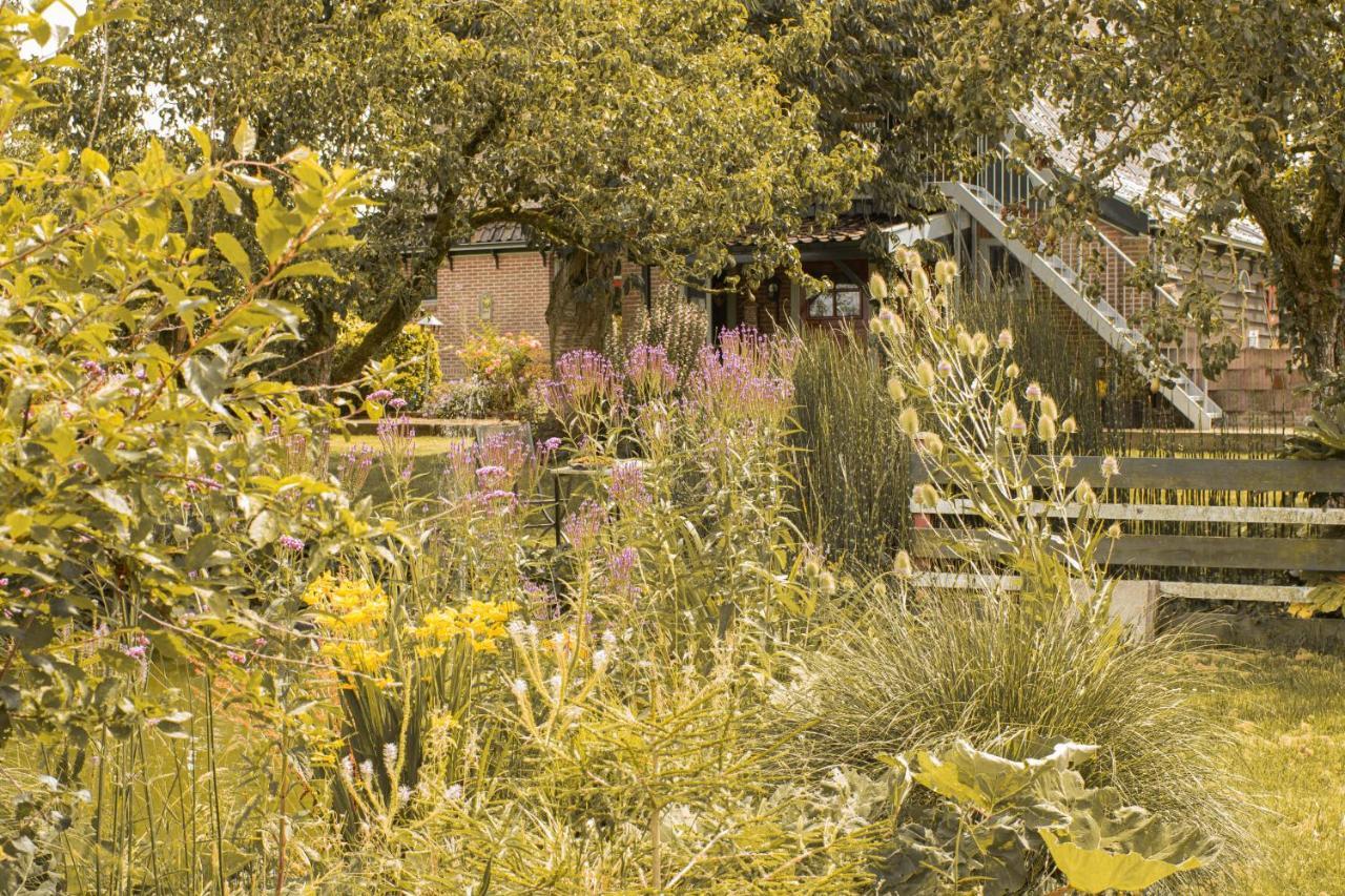 Chalet Ben In Broek Benningbroek 外观 照片