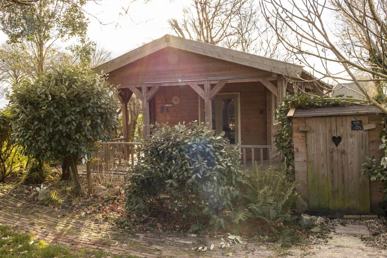 Chalet Ben In Broek Benningbroek 外观 照片